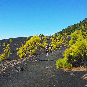 La Palma Cross-country